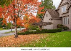 <b>废气处理设备供应</b>